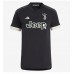 Maillot de foot Juventus Adrien Rabiot #25 Troisième 2023-24 Manches Courte